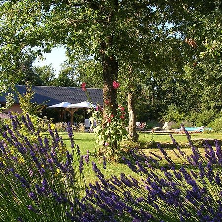 La Villa Des Pins Verrieres  Экстерьер фото
