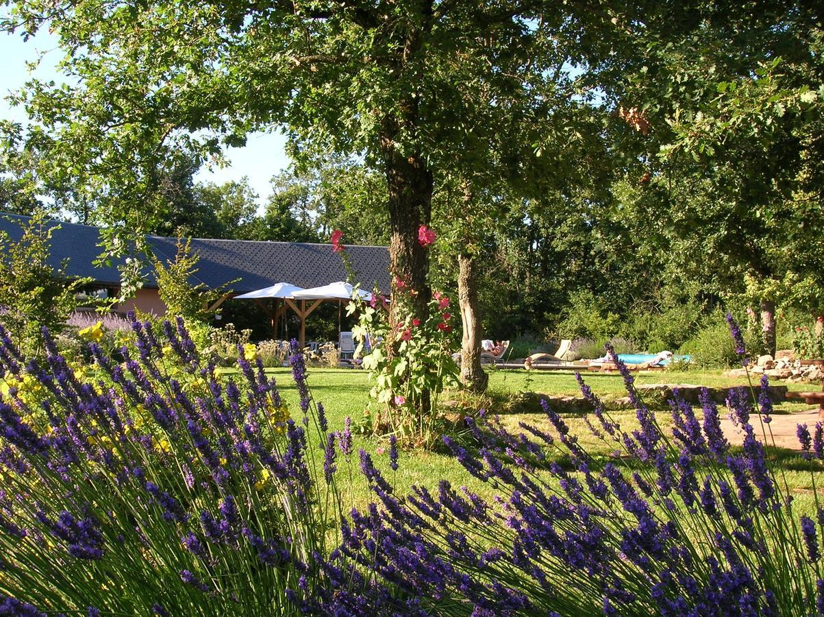 La Villa Des Pins Verrieres  Экстерьер фото